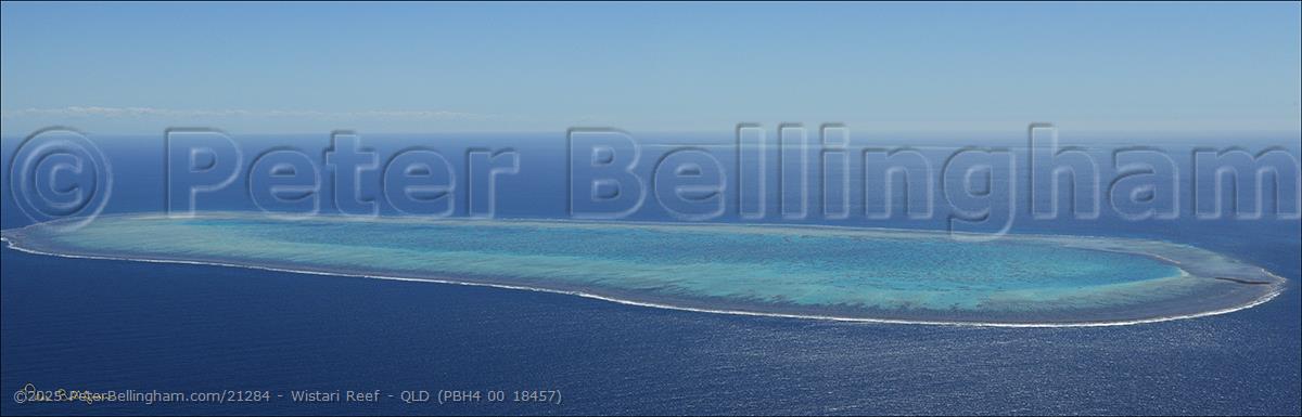 Peter Bellingham Photography Wistari Reef - QLD (PBH4 00 18457)